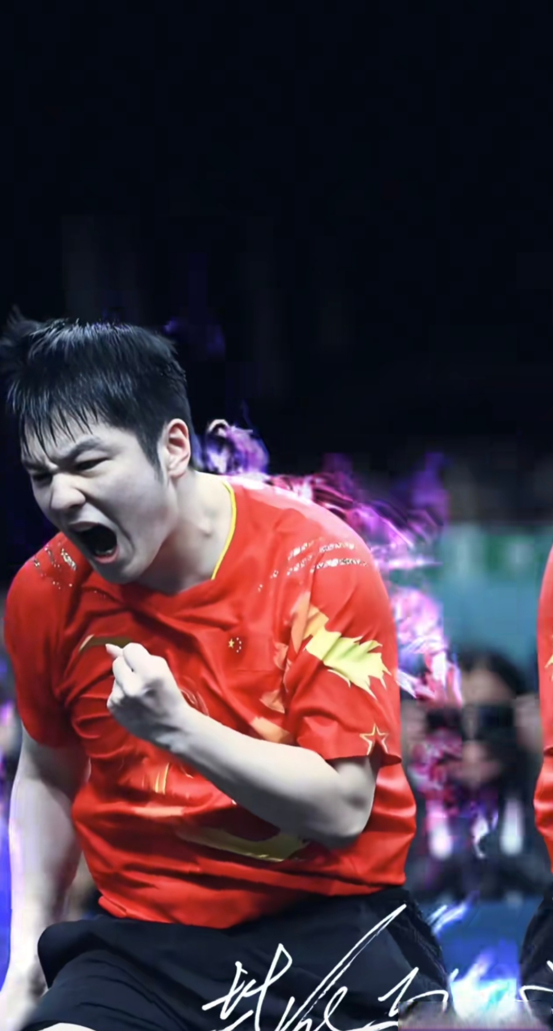 波兰队绝杀韩国队，樊振东点燃赛场