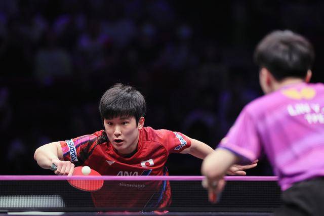 包含中国队绝杀英格兰队，张本智和高光表现的词条