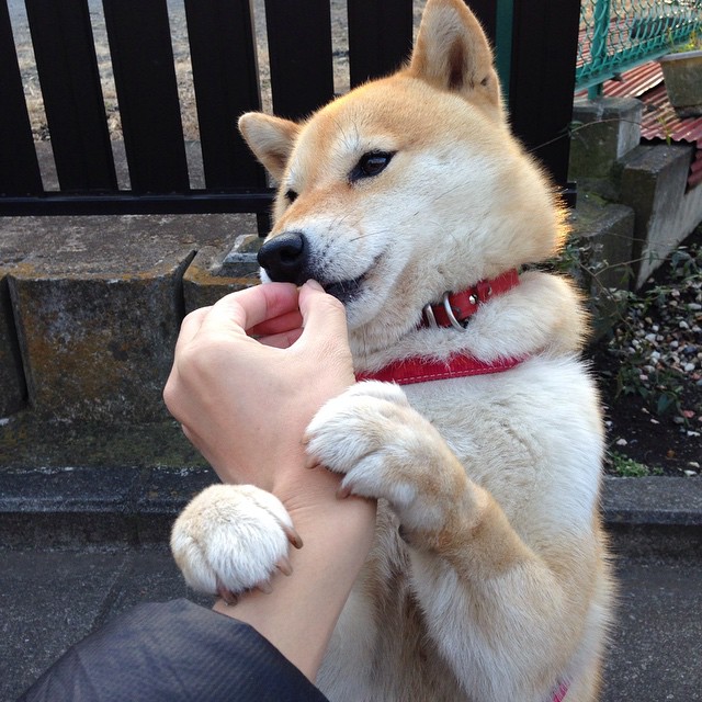 钱塘江潮撞碎密尔沃基雪，当浙江队让文班亚马点燃地球另一端的赛场