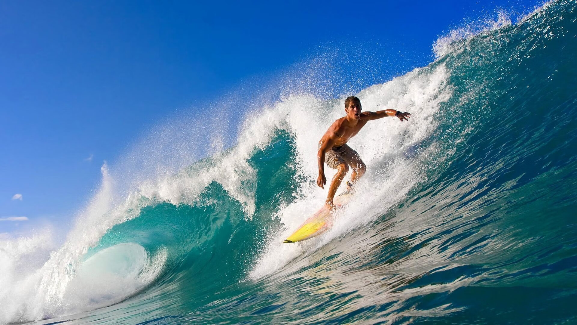 当黄蜂席卷斯坦福桥，体育平行宇宙的唯一性狂欢