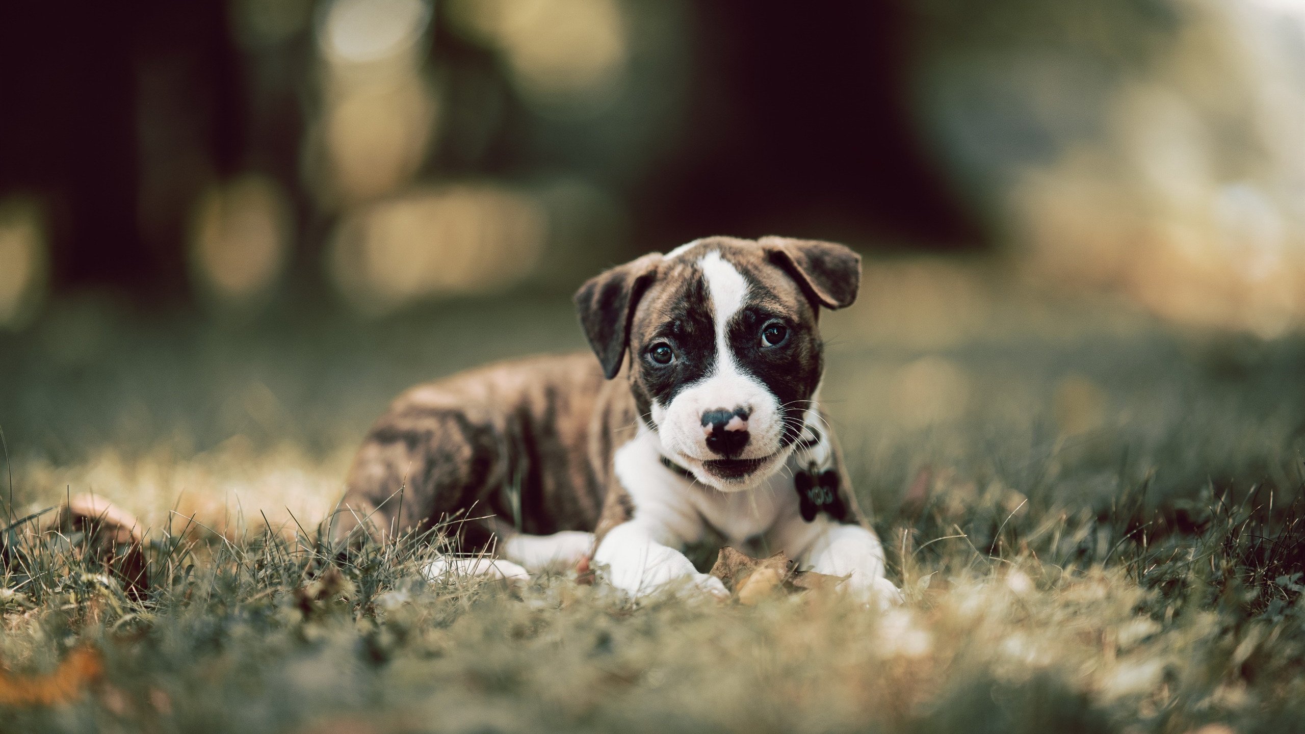 阿圭罗的幽灵，点燃韩国与克罗地亚的战术狂热