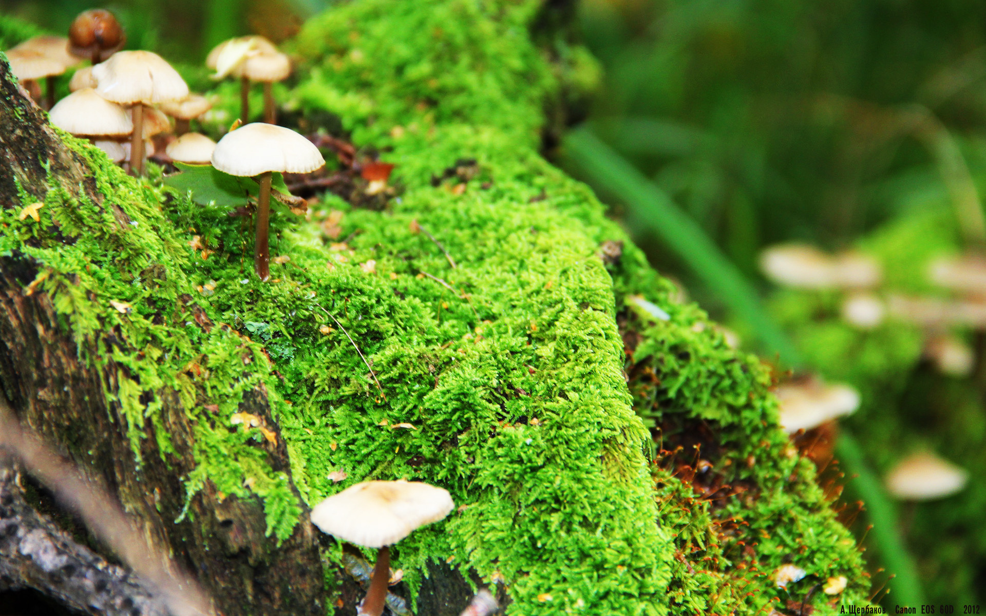 绝地反击，孤独的王牌，当斯通斯扛起一支球队的尊严