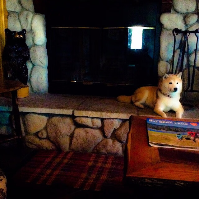 棋盘上的心跳,当北美德比遇见德国大脑