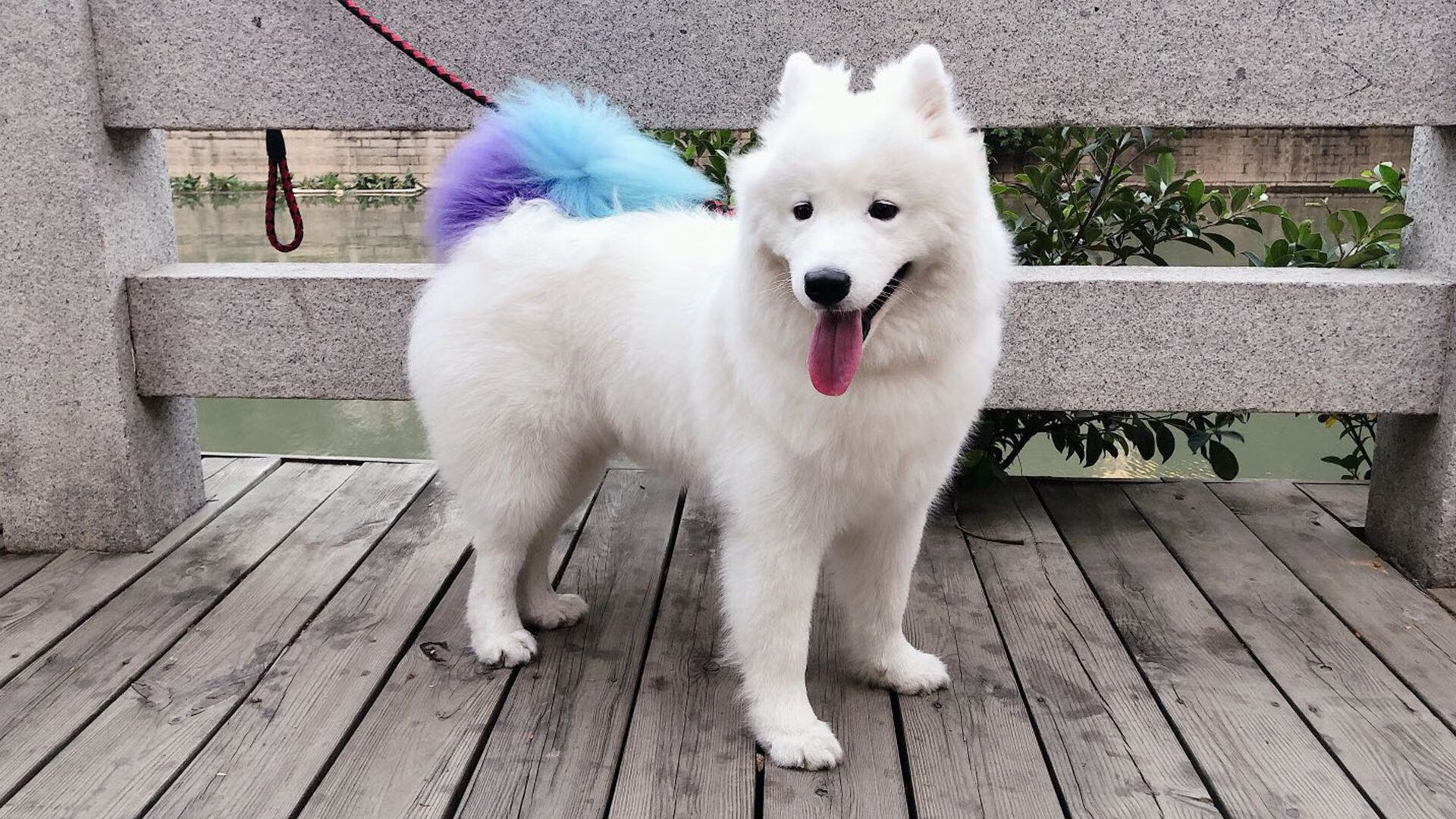 虚构之战，当足球场惊现NBA绝杀—奇才粉碎的不只是爵士，还有规则