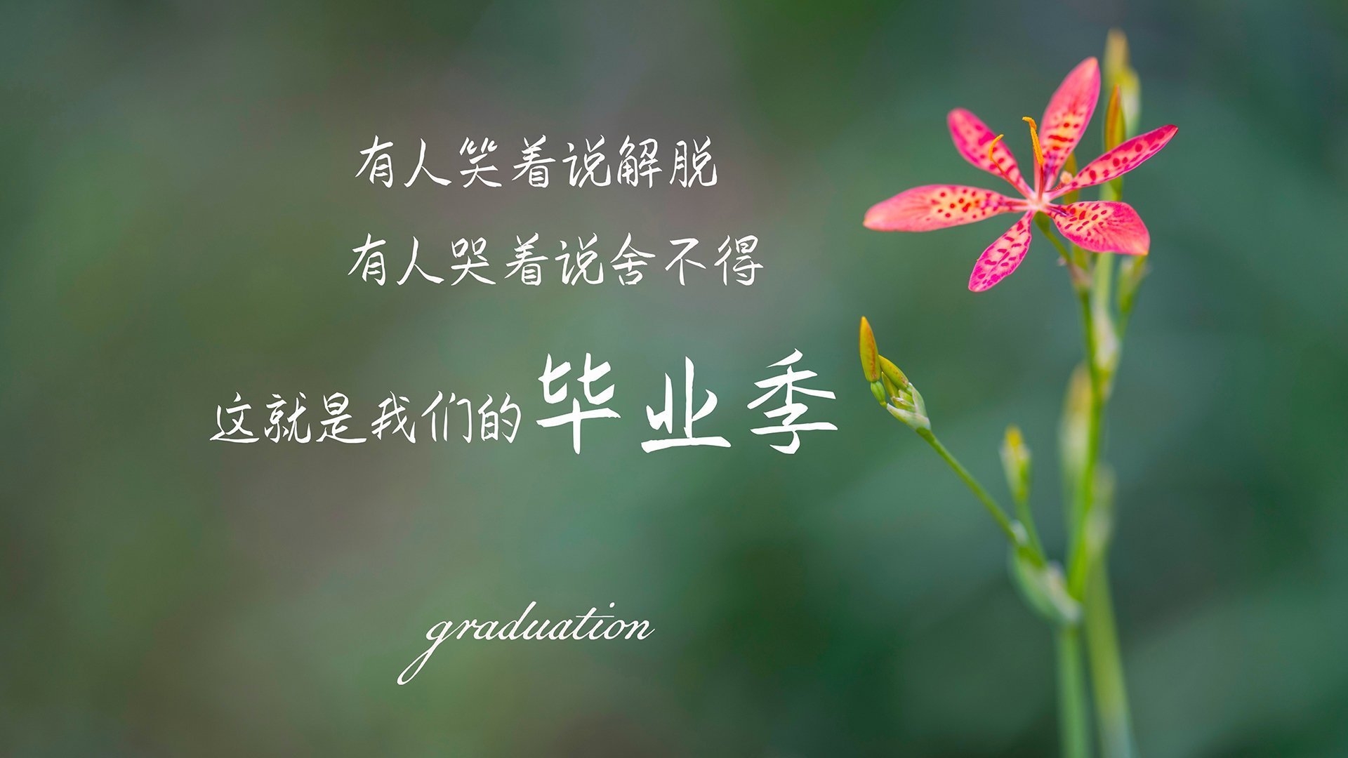 霍勒迪的指挥刀，骑士用一波14-0的变奏曲，让火箭的轰鸣戛然而止