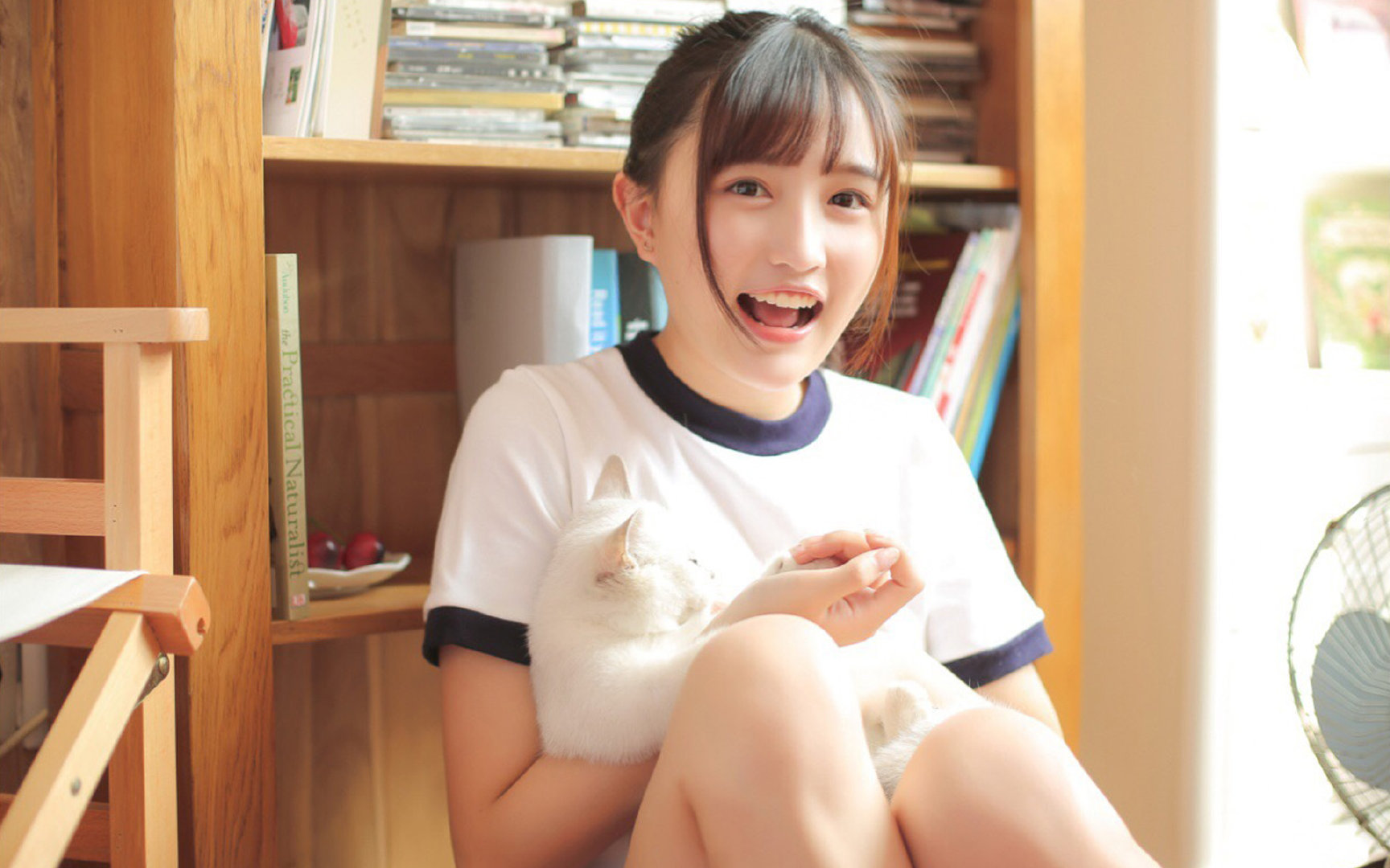 当凤凰城的光照进安联球场，那个德甲争冠之夜的神奇投影