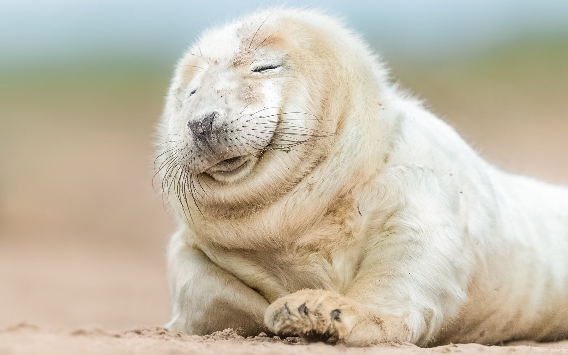 以弱胜强的双重奏，当篮网的逆袭照亮范弗利特的封神之夜