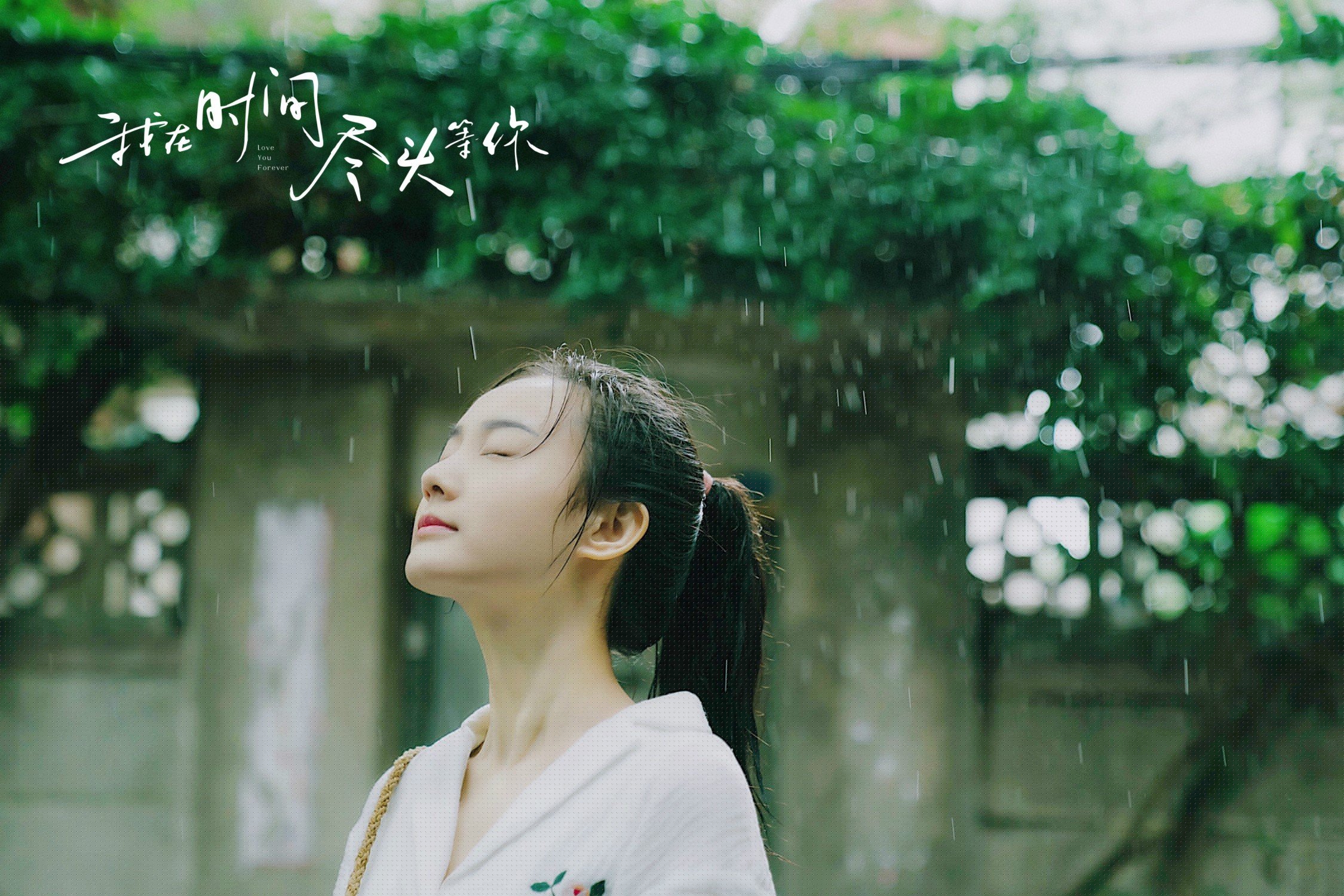 英超争冠之夜，范弗利特，那个将冠军重新定义的人