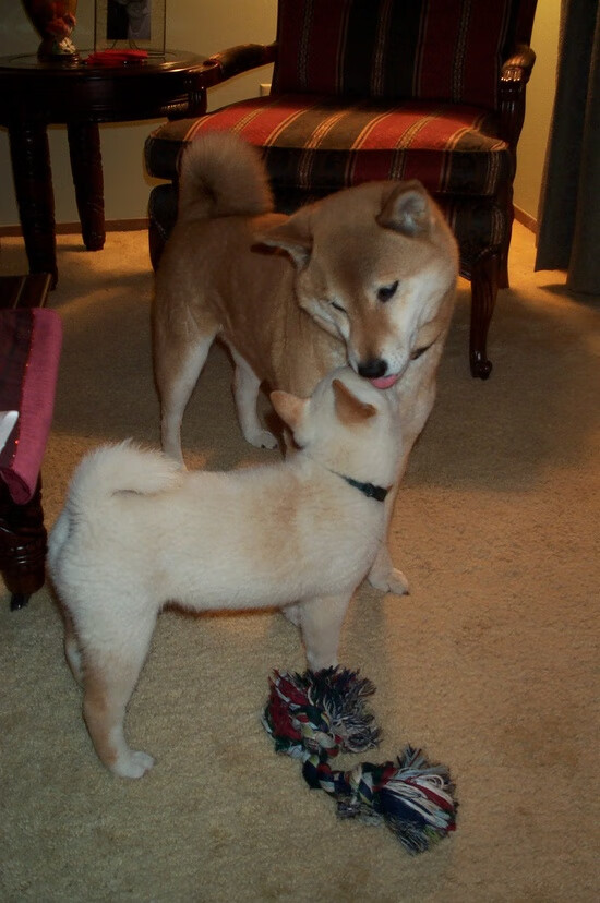 当东方铁壁遇上费城之光，霍勒迪撕裂防线，辽宁苦战加时擒76人