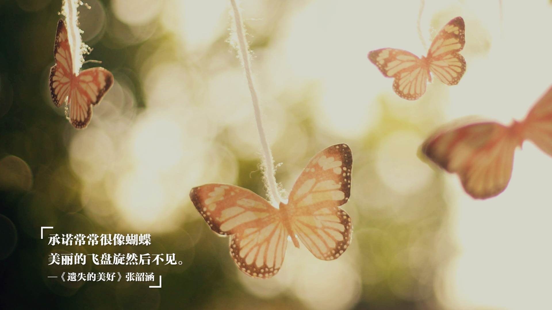 绿茵铁闸与极速王冠,当北欧防线遇见赛道上的C罗