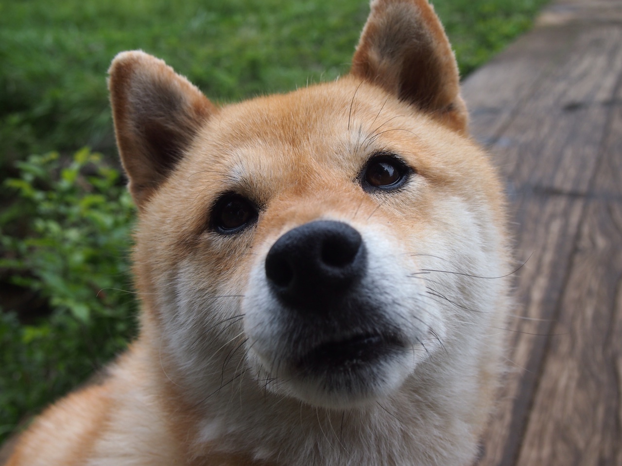 冰与火之歌，戈贝尔一柱擎天，魔术防守冰封浙江烈焰