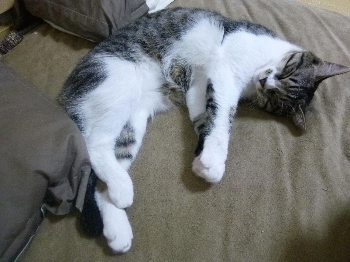 从卡迪夫城到马德里，2018，足球防线的历史拐点