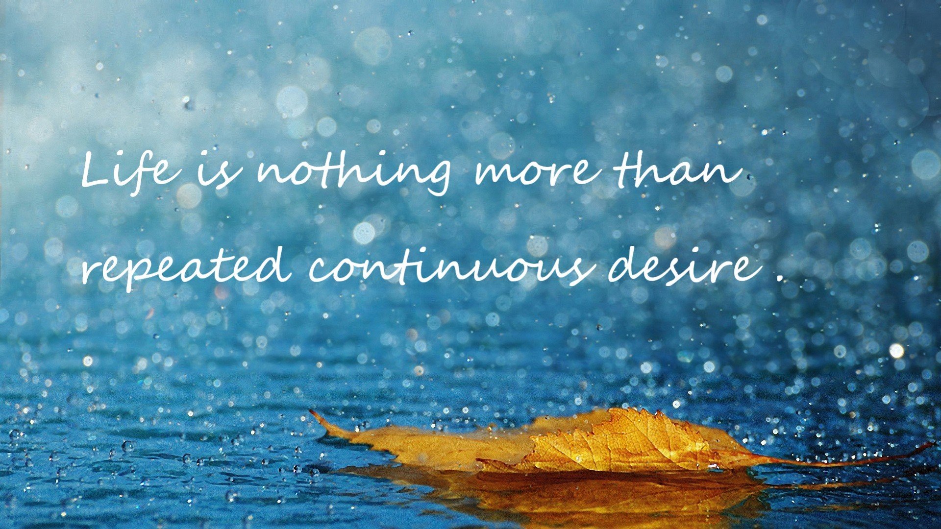 佩德里，双面神的艺术与阿森纳的钢铁牢笼