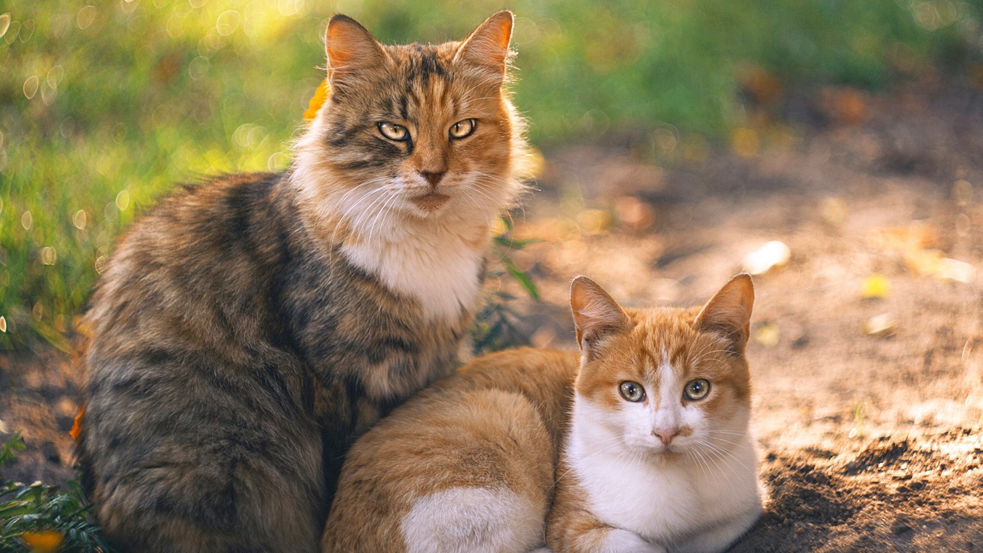 霜刃灼穿宿命，年度焦点之战与利拉德的自我救赎